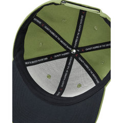 Air Jordan Pro Cap Adjustable Hat