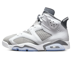 Air Jordan 6 'Cool Grey'