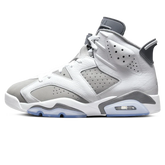 Air Jordan 6 'Cool Grey'