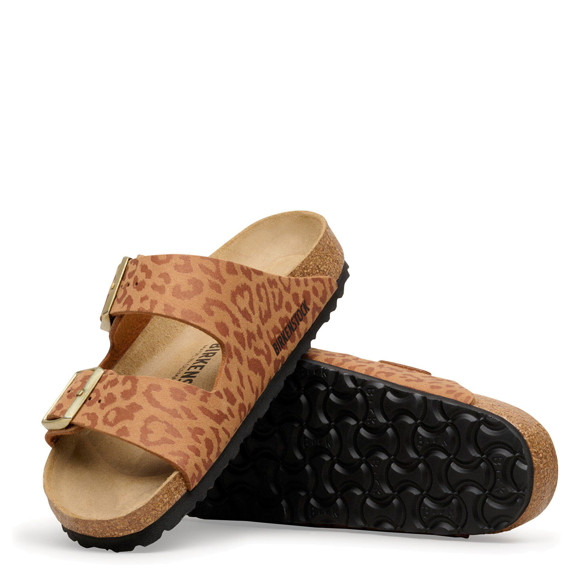 Arizona SYN Leo Pecan (Women)