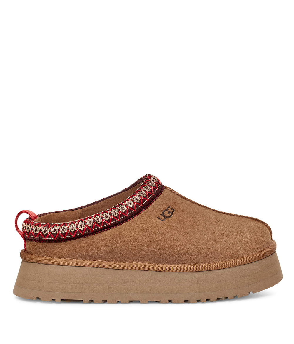 Chestnut |#| Chestnut 