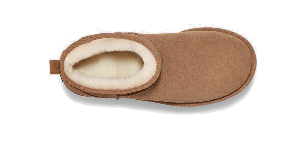 Classic Ultra Mini Platform Chestnut (Women)