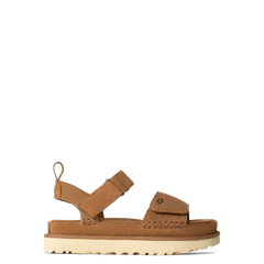 Goldenstar Chestnut (Women)