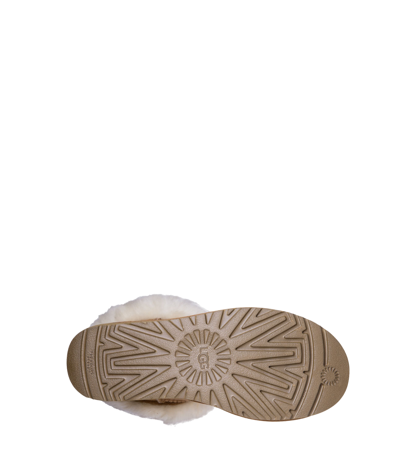 Classic Short II Chestnut (Women)