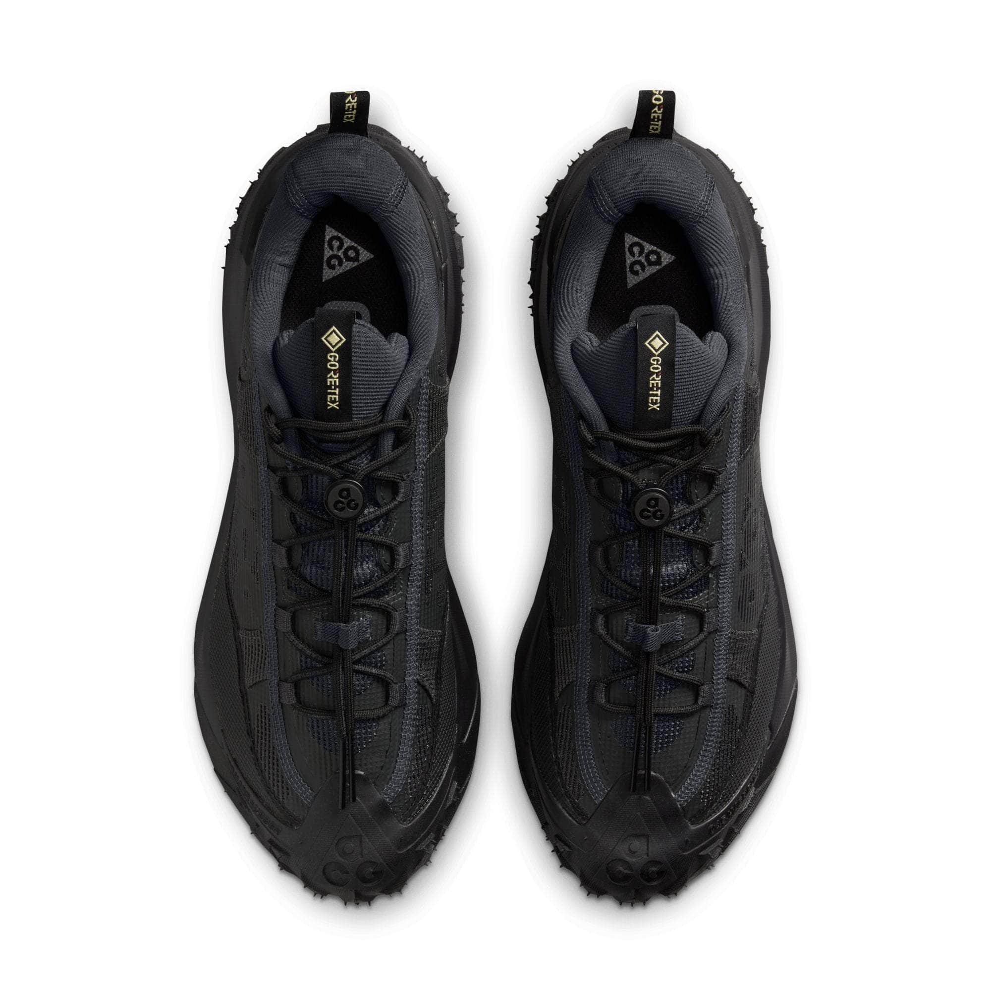 Nike ACG Mountain Fly 2 Low GORE-TEX - Men's