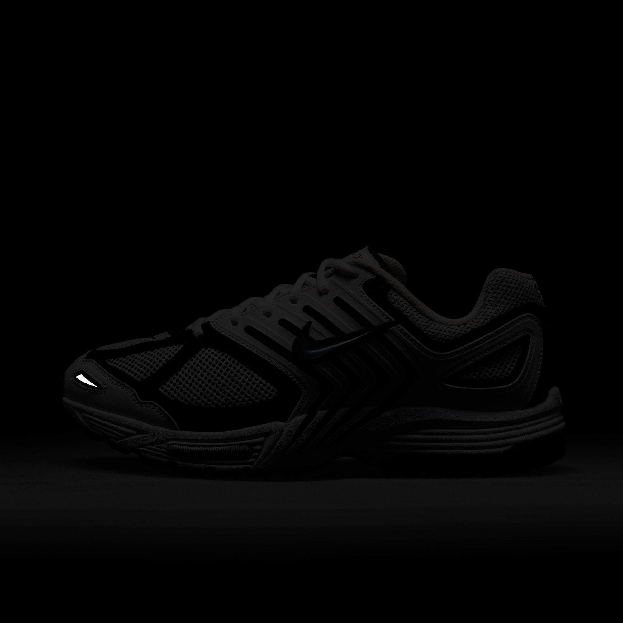 Nike Air Pegasus 2005 - Men's