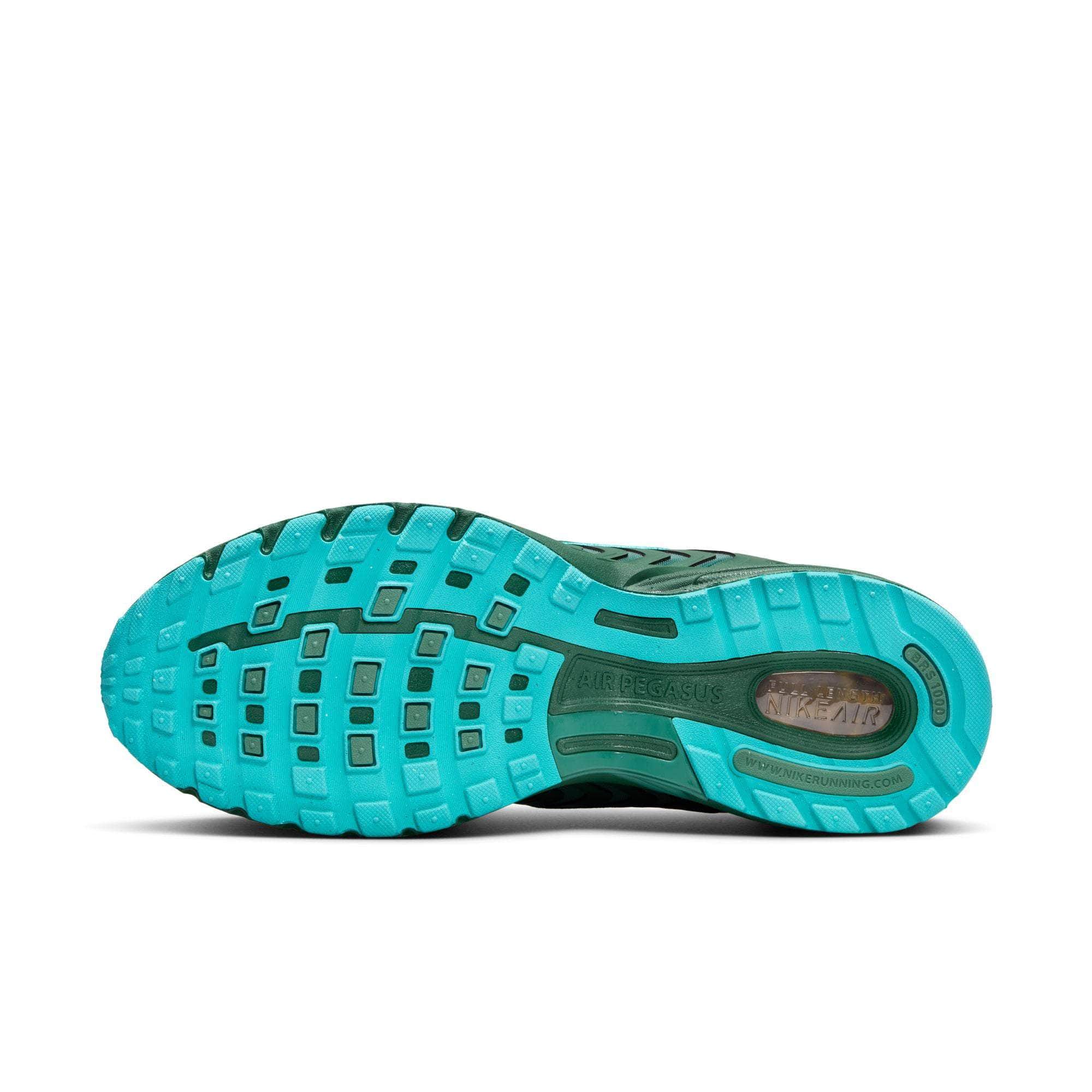 Nike Air Pegasus 2005 - Men's