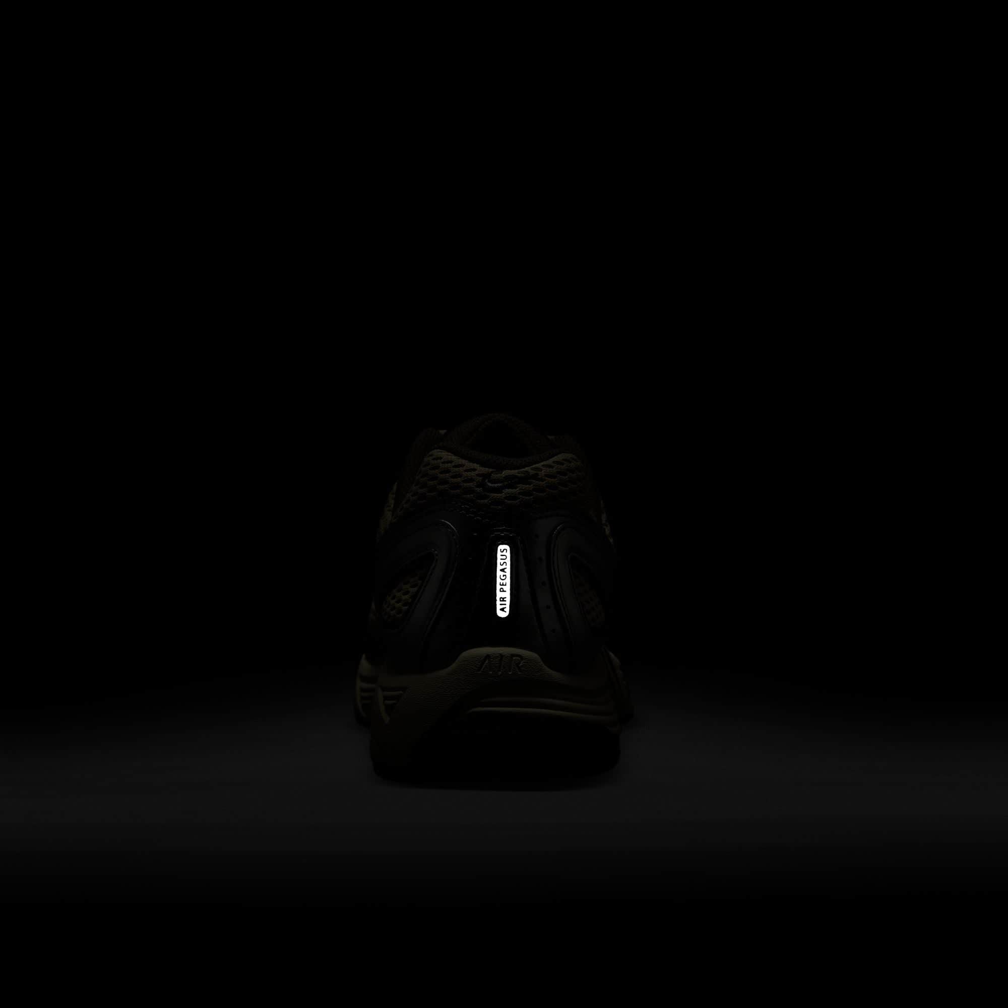 Nike Air Pegasus 2005 - Men's