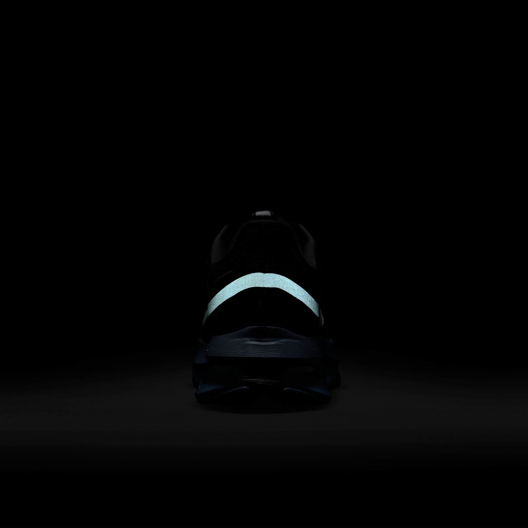 Nike Pegasus Premium - Men's