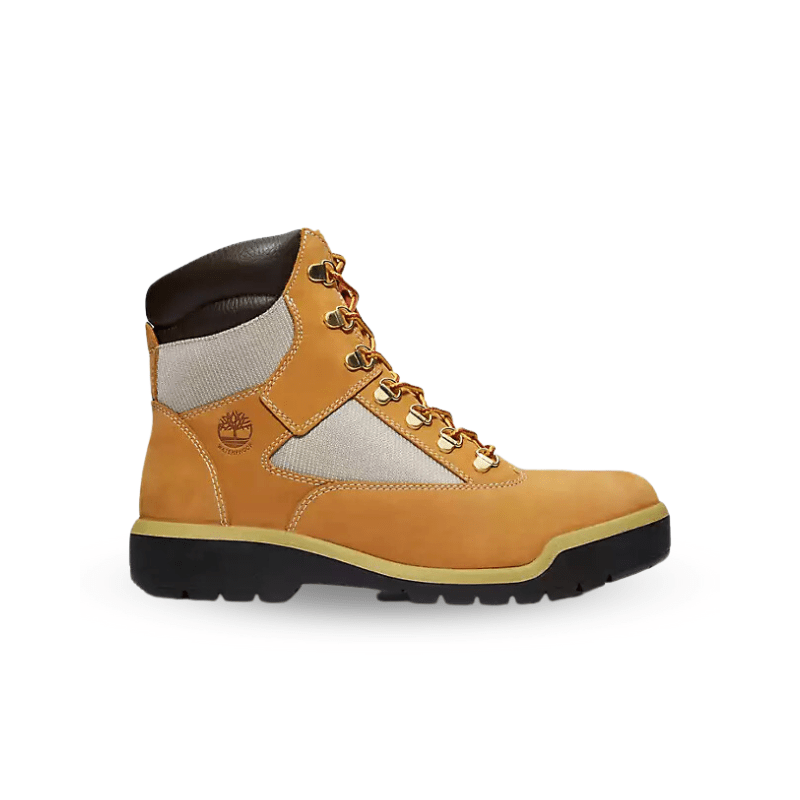 Timberland 6-Inch Waterproof Field Boot - Men's